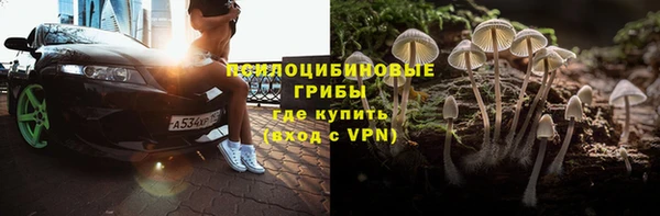 шишки Коряжма
