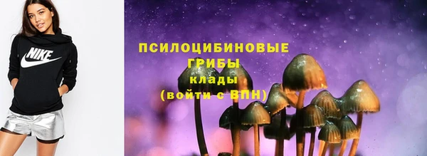 шишки Коряжма