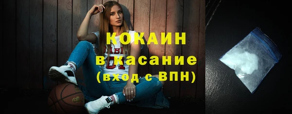 шишки Коряжма