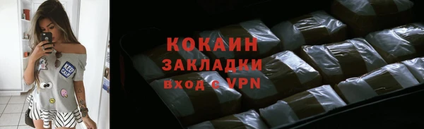шишки Коряжма