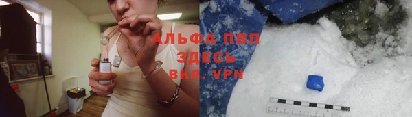 шишки Коряжма
