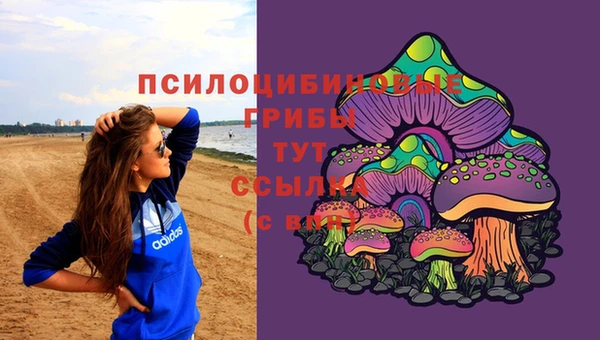 прущая мука Костерёво