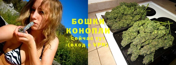 ECSTASY Корсаков