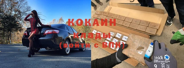 шишки Коряжма