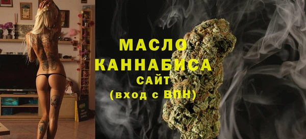 шишки Коряжма